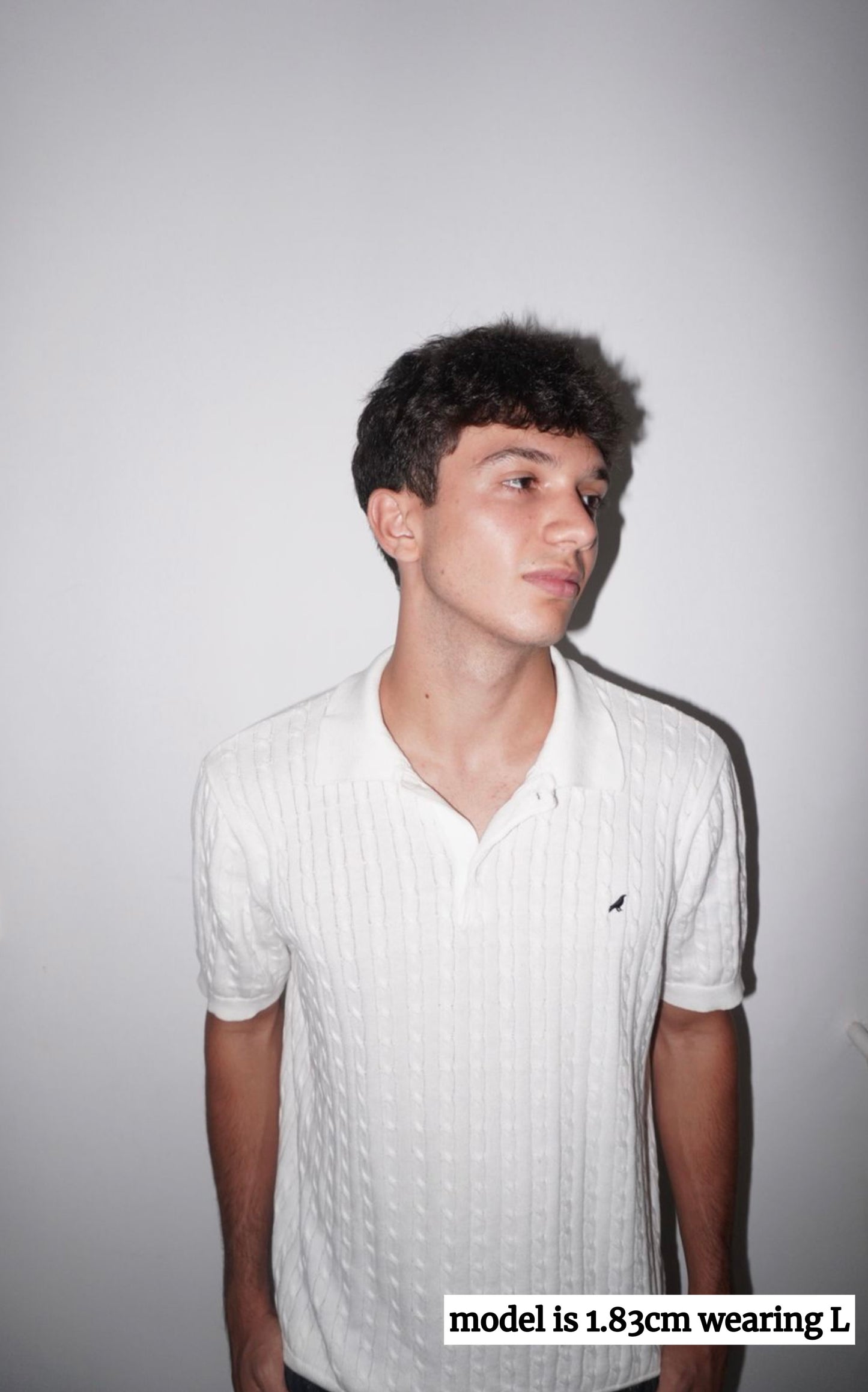 Signature Knit Polo Shirt